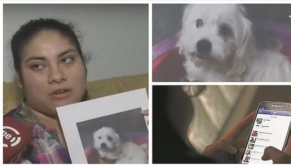 Sujeto hace propuesta indecente a mujer con discapacidad que perdió a su perro guía