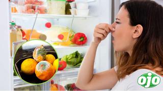 Verano: ¿Cómo cuidar los alimentos para evitar su descomposición?