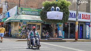 Chimbote: Árboles se ‘pusieron’ mascarillas para concientizar a personas por el COVID-19 | FOTOS