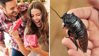 Empresa ofrece ponerle el nombre de tu ex a cucaracha por regalo de San Valentín 