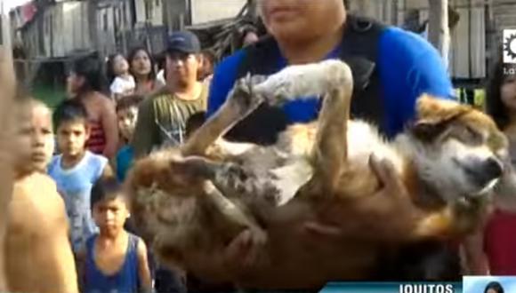 Iquitos: Adolescente agarra a machetazos a perro que atacó a su hermanita 