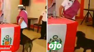 Candidata al Congreso es captada pateando a un perro y luego lo niega: “justo levanté mi pie y se metió” | VIDEO