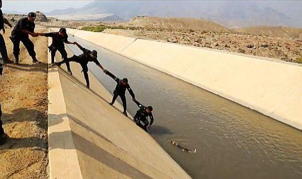 Trujillo: Policías forman cadena humana para ayudar a perrito 