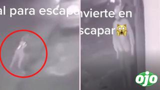 Extraño video de un hombre que se convierte en animal para escapar causa conmoción en redes