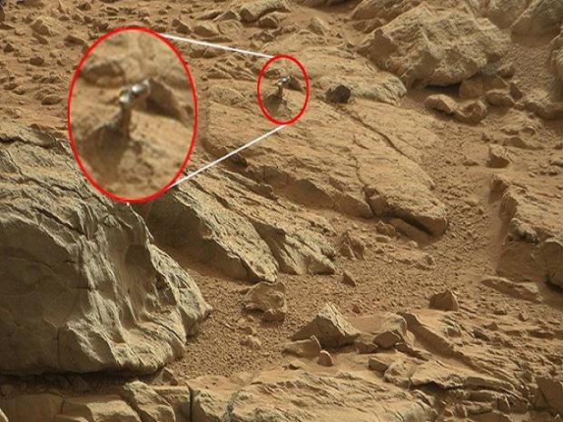​Twitter: Curiosity ahora descubre una "lagartija" en Marte [FOTO]