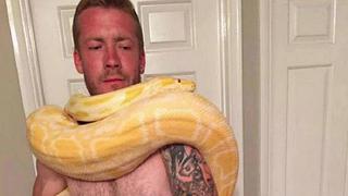 Fanático de las serpientes muere ahorcado por su propio pitón de 2,4 metros 