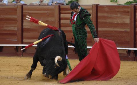 España: Torero se niega a matar a toro en el ruedo 