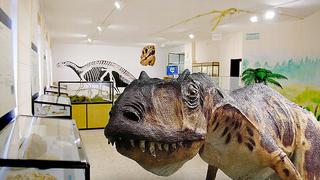 ​Hallan dinosaurio y se rompen la cabeza para saber de qué tipo es