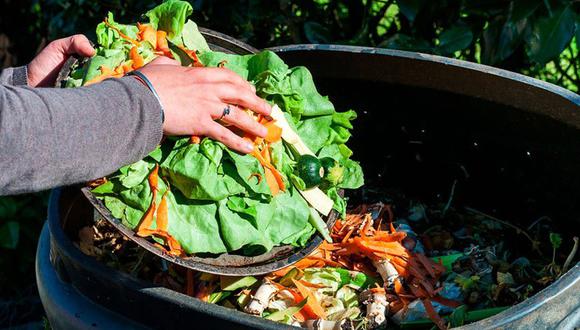 El estudio señala que la cantidad de desechos de alimentos que va a parar a la basura es suficiente para dar la vuelta a la Tierra siete veces. (Foto: Archivo)