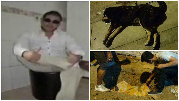 SMP: hombre mata a cuchilladas a perrito por absurda razón (VIDEO)