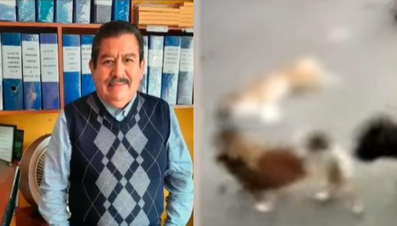 Denuncian a vecino por matar a perro a palazos. Foto: Buenos Días Perú