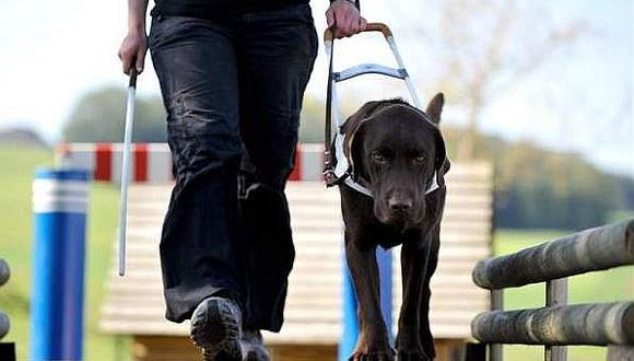 Eliminan cursos obligatorios para los dueños de perros en Suiza 