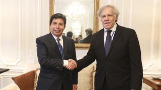 Grupo de alto nivel de la OEA lamenta no poder atender todos los pedidos de reuniones en el Perú