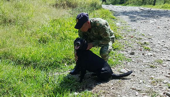 Colombia: Perro muere y salva a 30 soldados de caer en mina [FOTOS]  