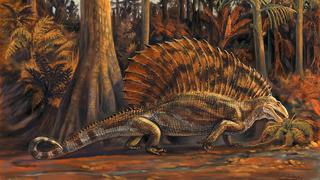 ​Fósil retrasa 100 millones de años evolución y hace reescribir la historia