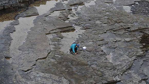 ​Encuentran huellas de dinosaurios por primera vez en tierra firme de Escocia