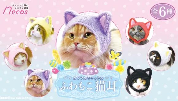 Los gatos 'tuneados'  son la sensación en Japón.