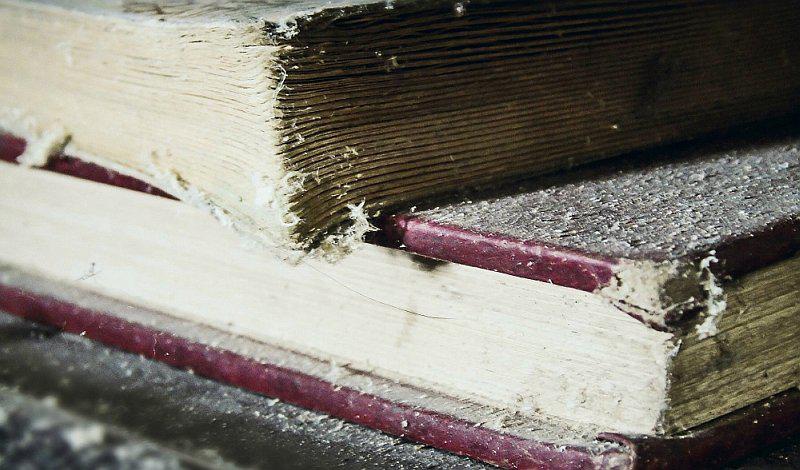 ¿Cómo cuidar los libros de la humedad y las polillas?