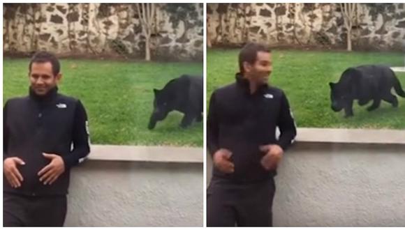 ​YouTube: Hombre da la espalda a una pantera y esto fue lo que ocurrió [VIDEO]