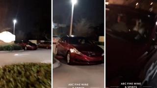 Perrito toca el claxon de auto a su dueña para que se apure comprando (VIDEO)