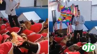 Video: Refugio de perritos rescatados celebró la Navidad con una piñata especial