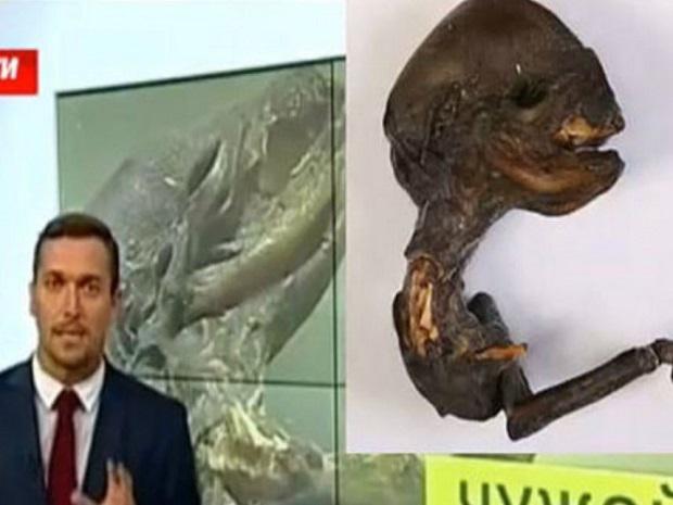 ​Rusia: Supuesto cadáver de alienígena genera asombro [VIDEO]