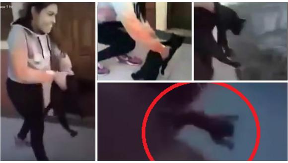 Facebook: Lanza gatito del piso más alto para "ver si caía parado" [VIDEO]