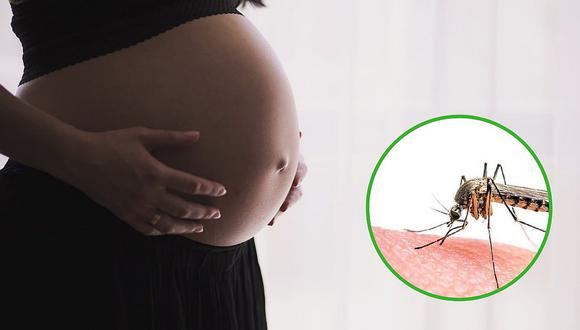 Cinco casos confirmados de zika en Piura y tres de estos son en mujeres embarazadas