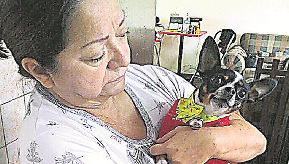 Mascotas: ladrones arrasan con casa pero antes dopan a perrito en La Victoria  