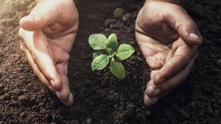 Vivir Seguros toma radical decisión y ya no invertirá en empresas que contaminan el medioambiente