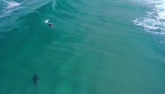 El tiburón se logró acercar a menos de 20 metros del deportistas que no se dio cuenta del peligro que corría. (Foto: Captura de pantalla)