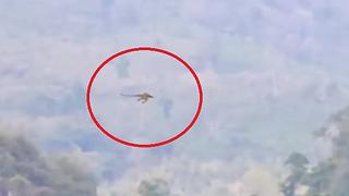 YouTube: Supuesto dragón sobrevolando China consterna en redes [VIDEO]