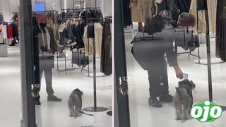 Viral: Seguridad detiene a perrito en la puerta de una tienda para tomarle la temperatura antes de entrar