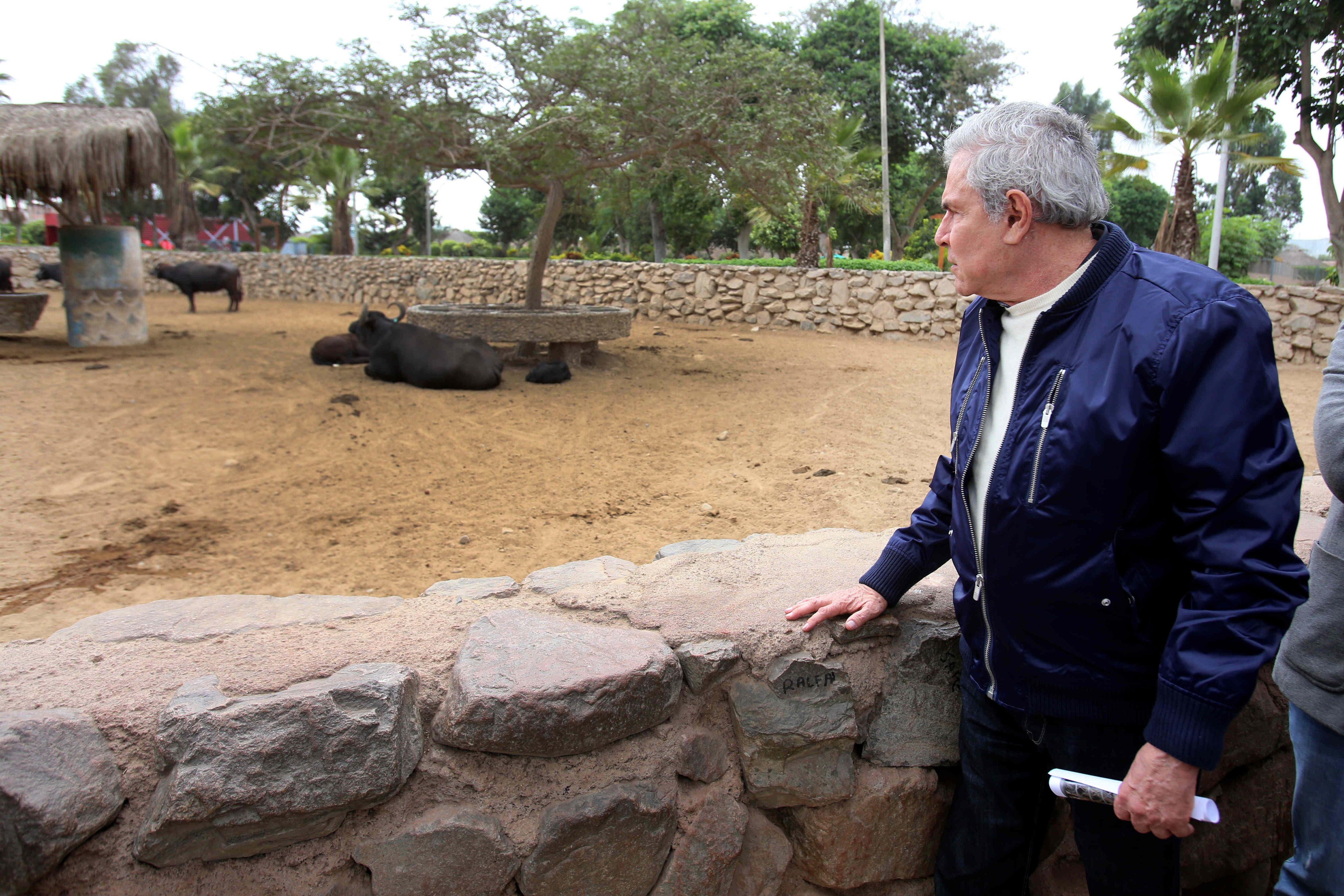 Regidores solicitan crear comisión para investigar al Parque de las Leyendas