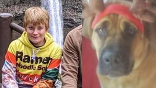 Incendios en Estados Unidos: un niño fue hallado sin vida y abrazado a su perro en Oregón