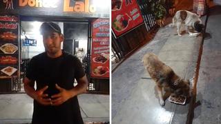 Restaurante toma la iniciativa y sirve ‘menú’ a perritos de la calle │VIDEO