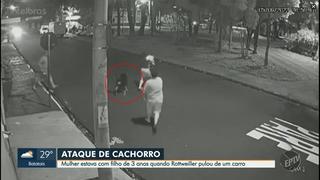 Brasil: perro salta de auto en movimiento y ataca a pareja que paseaba con su hijo [VIDEO]