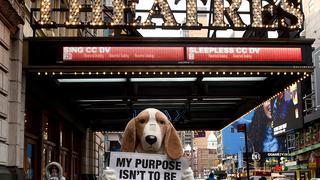  "A Dog's Purpose" (La razón de estar contigo) maltrata a perro y triunfa [VIDEO]
