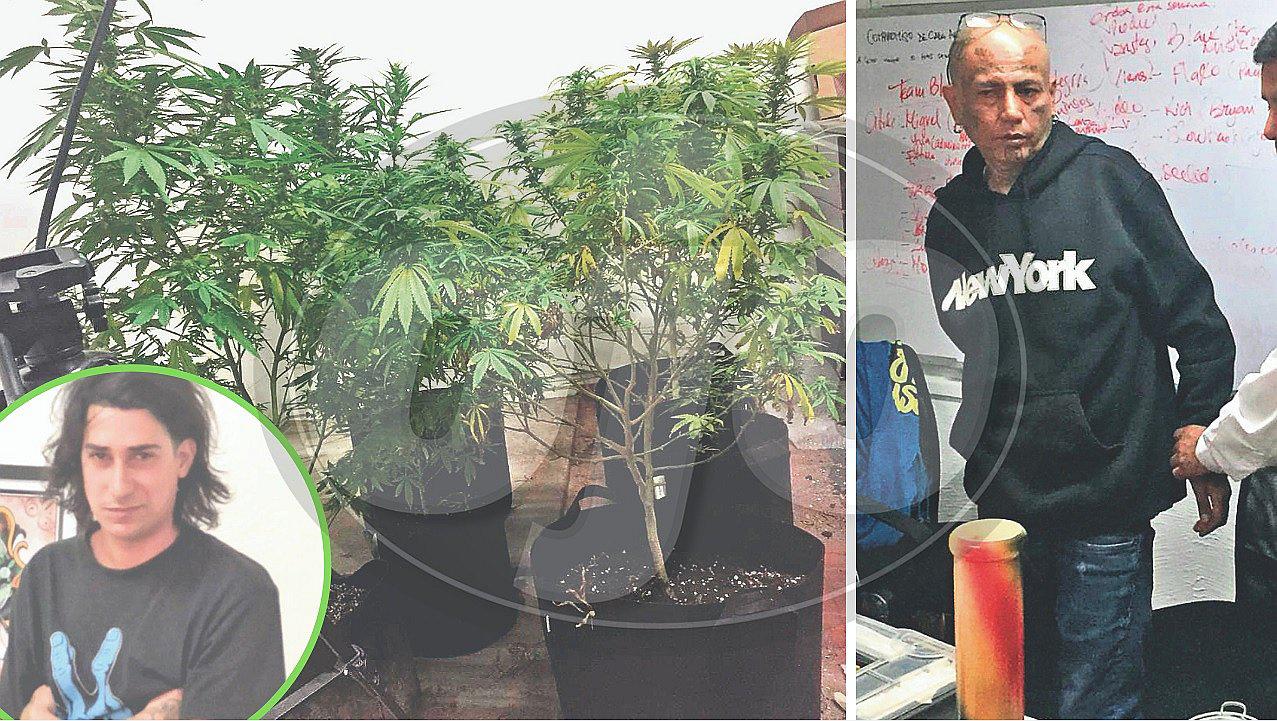 Marihuana crecía en 'depa' de reconocido tatuador Coyote quien lo promocionaba en Facebook