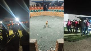 Arequipa: encuentran a cien personas presenciando pelea de gallos en coliseo │VIDEO