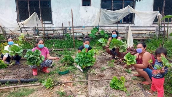 Las madres fueron capacitadas sobre la siembre de hortalizas proteicas y como elaborar abono con residuos orgánicos (Foto: Midis)