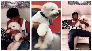 ​Perú vs. Colombia: perrito de Yordy Reyna aparece y sorprende el gesto de quien lo encontró 