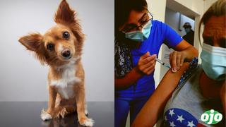 Más de 70 personas fueron inyectadas con vacuna canina para el coronavirus