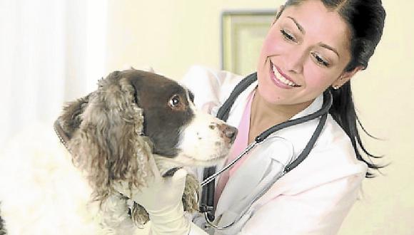 Como escoger una buena veterinaria para su mascota