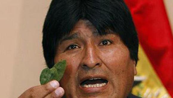 El 40% de la coca boliviana termina en el narcotráfico