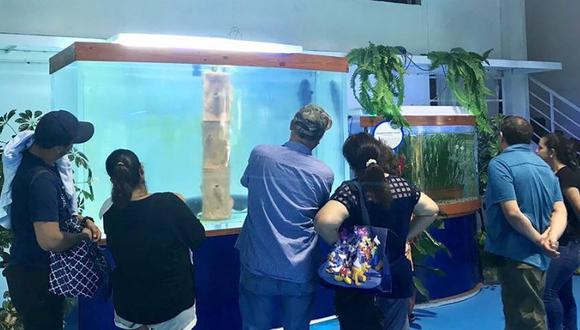 Más allá de ser un espectáculo visual, Nautilus tiene una misión educativa, contribuyendo a la difusión de la conciencia ambiental para la conservación de diversos ecosistemas marinos, desde ríos y lagunas hasta mares.
