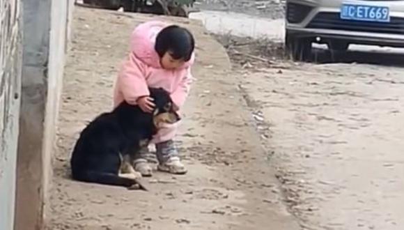 La niña vio que su mascota estaba nerviosa por los pirotécnicos, razón por la cual decidió protegerlo. (Foto: Tong Bingxue/Twitter)