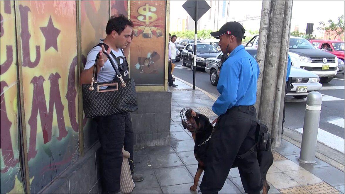 Miraflores: Perros de Brigada Canina ponen alto a la delincuencia