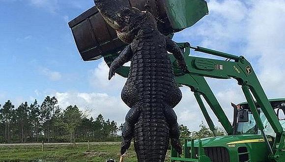 ​Facebook: 'Monstruoso' cocodrilo hallado en Florida deja atónitos en redes sociales 