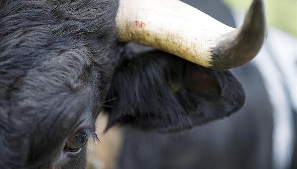 ​Suizos rechazan subvenciones para evitar que mutilen a animales
